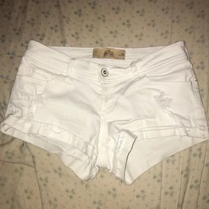 Hollister Shorts